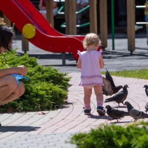 В Симферополе обустраивают 19 детских игровых площадок